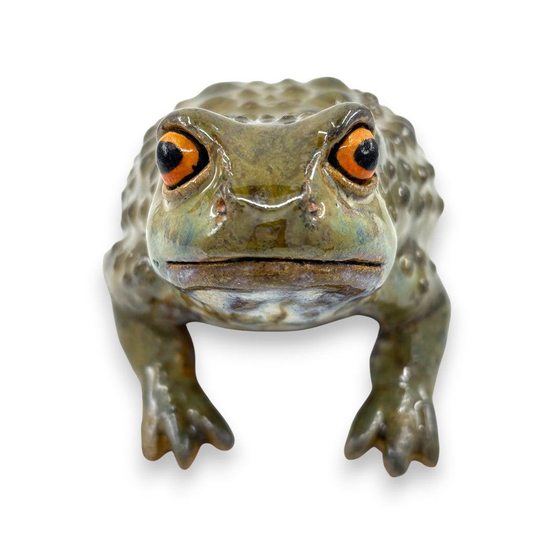 Toad - Ceramics