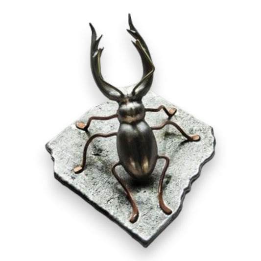 Pewter Stag Beetle on Mud