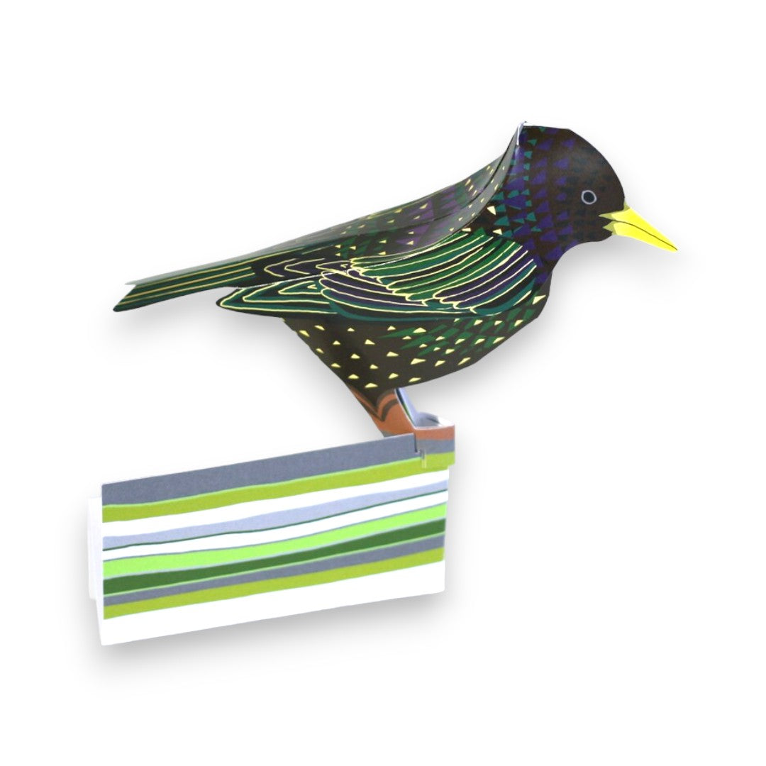 Starling - Bird Card