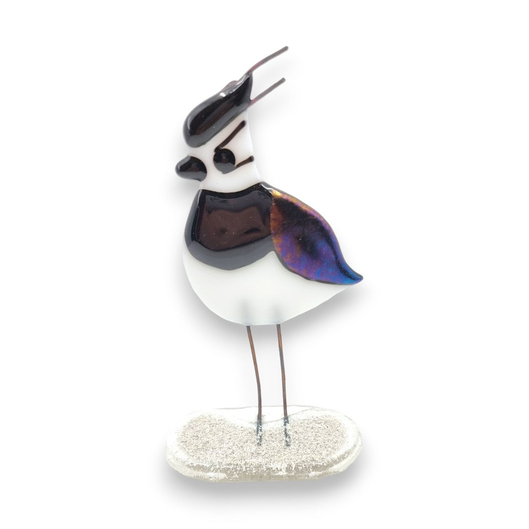 Lapwing - Fused Glass