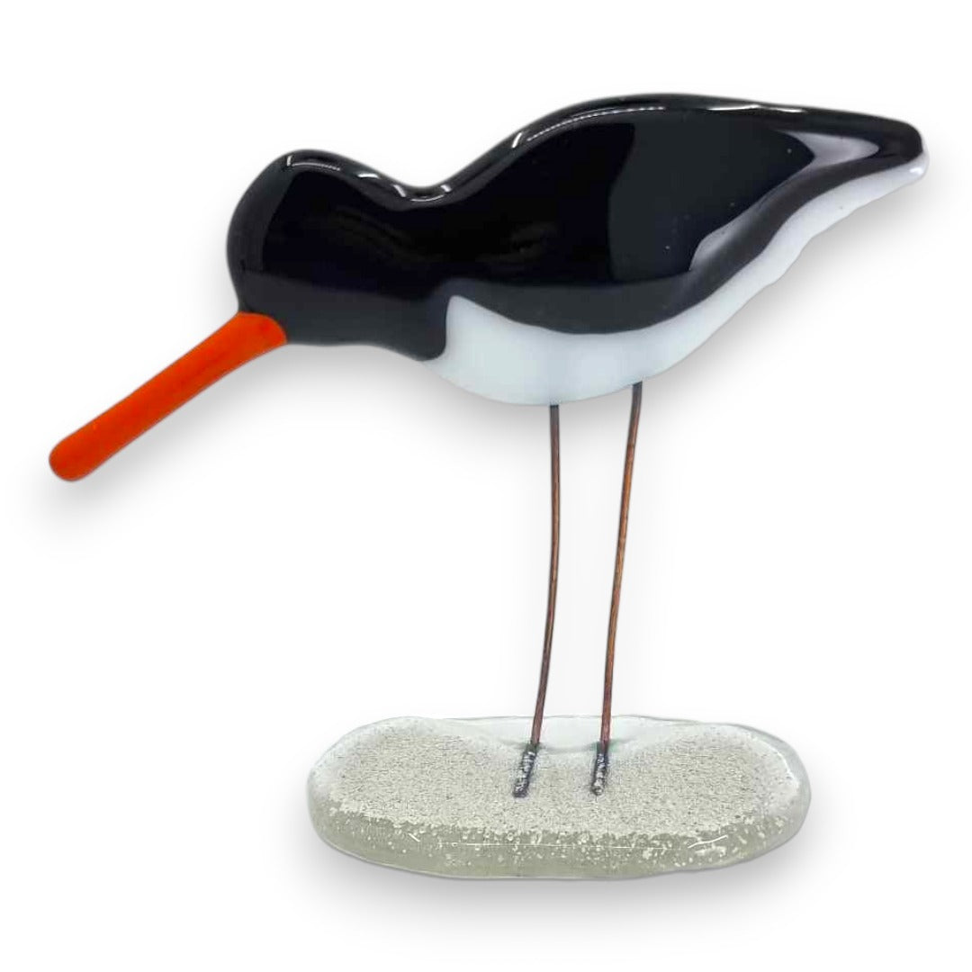 Oystercatcher - Fused Glass