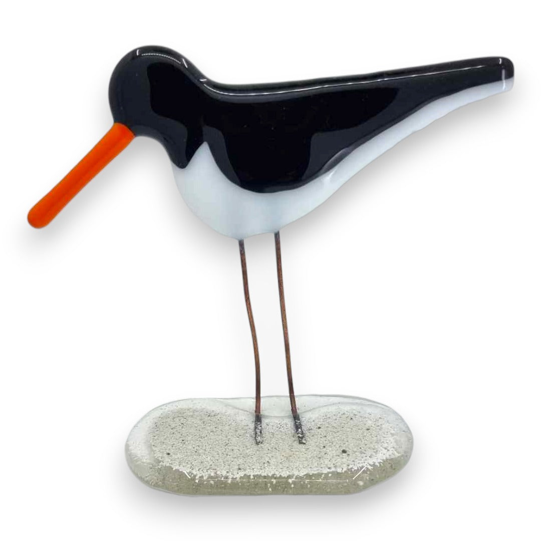 Oystercatcher - Fused Glass