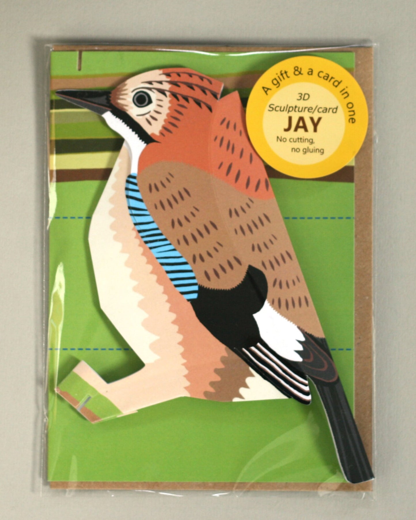 Jay - Bird Card
