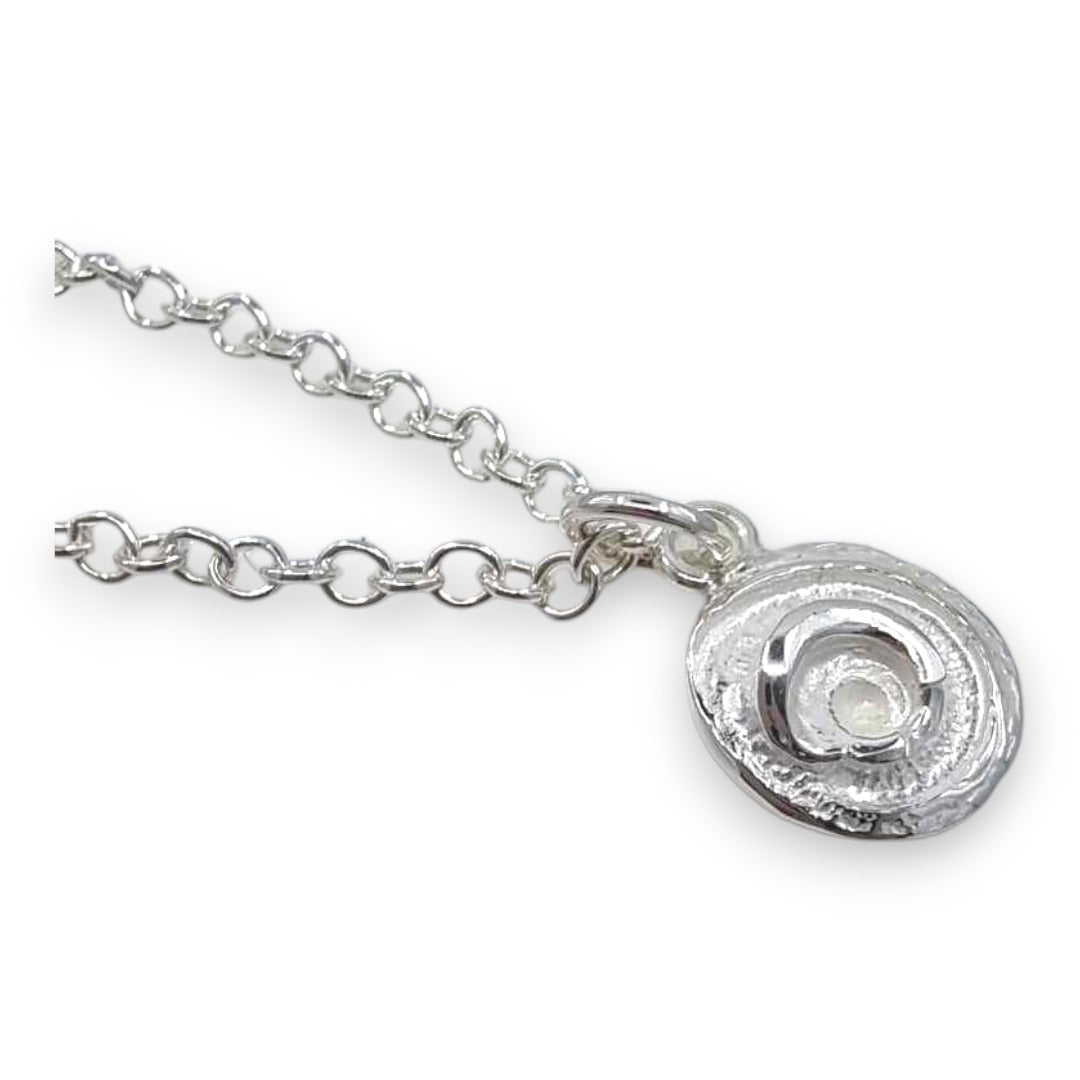 Spiral Shell Pendent and Chain - Necklace