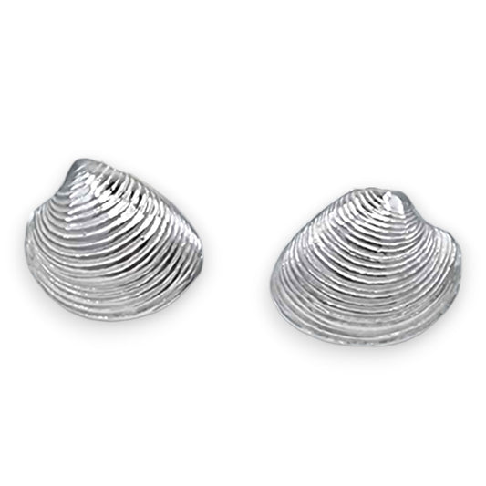 Venus Shell Stud - Earrings