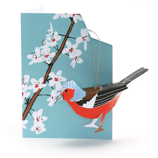 Chaffinch - Bird Card