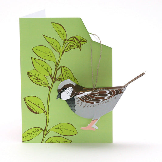 Sparrow - Bird Card