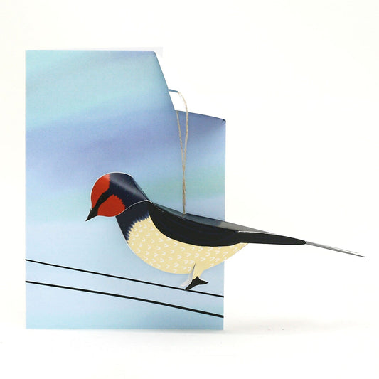 Swallow - Bird Card
