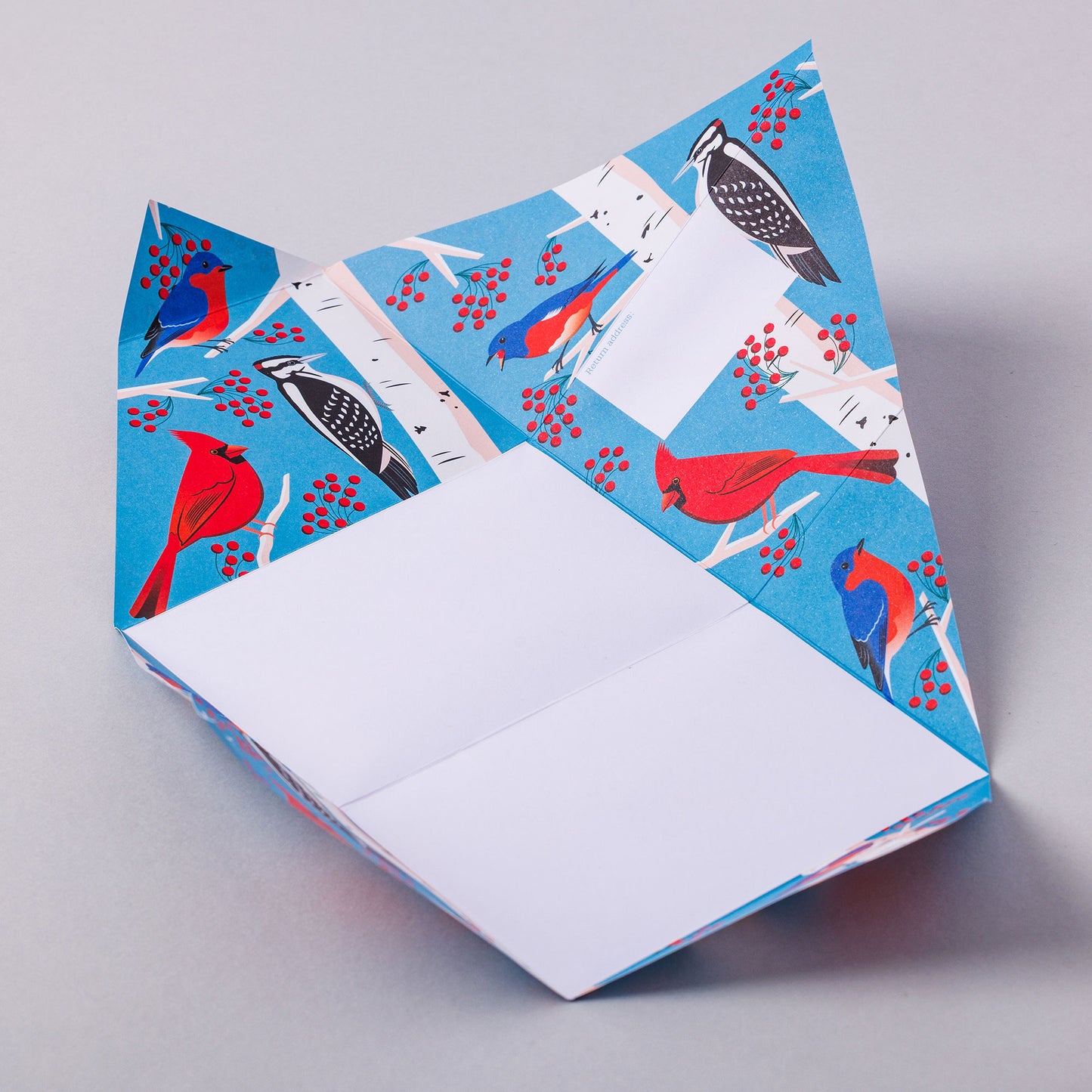 Pigeon Post - Carnival of Colour