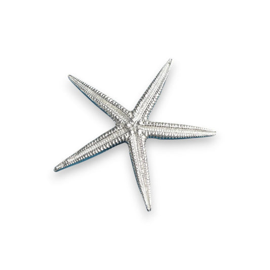 Pewter Brooch - Starfish