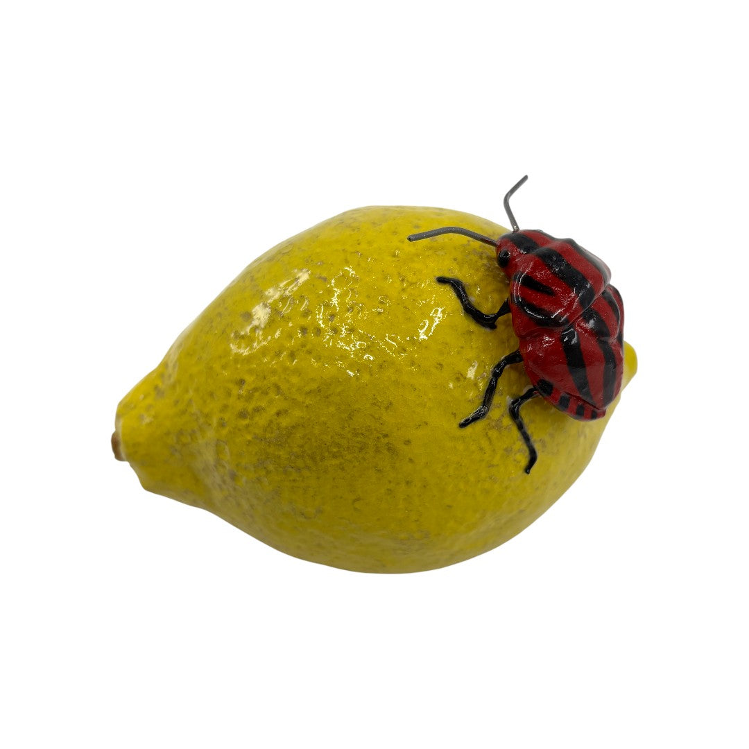 Italian Beetle On A Lemon - Ceramics