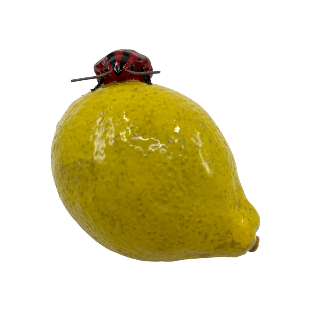 Italian Beetle On A Lemon - Ceramics