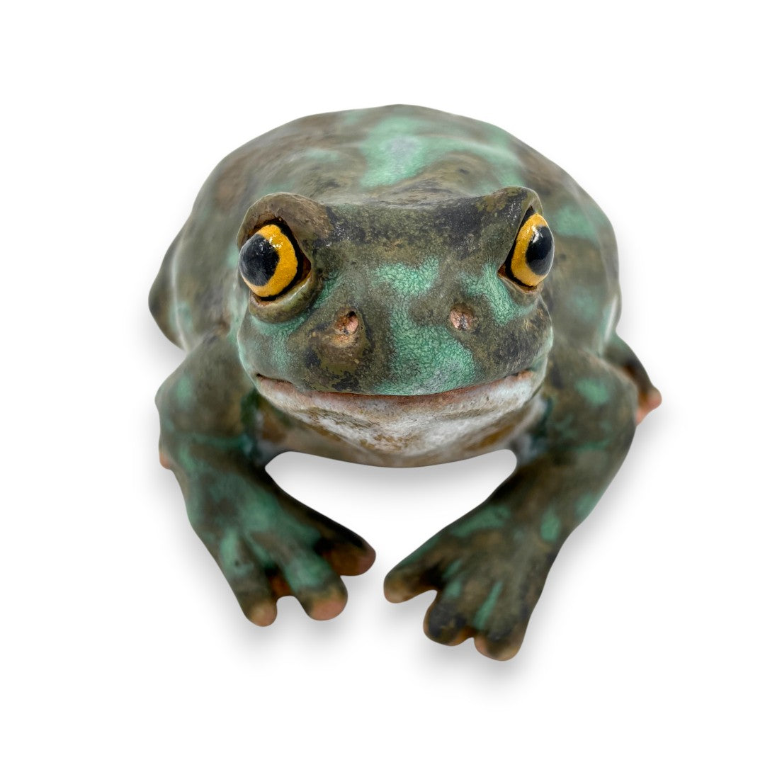 Frog - Ceramics