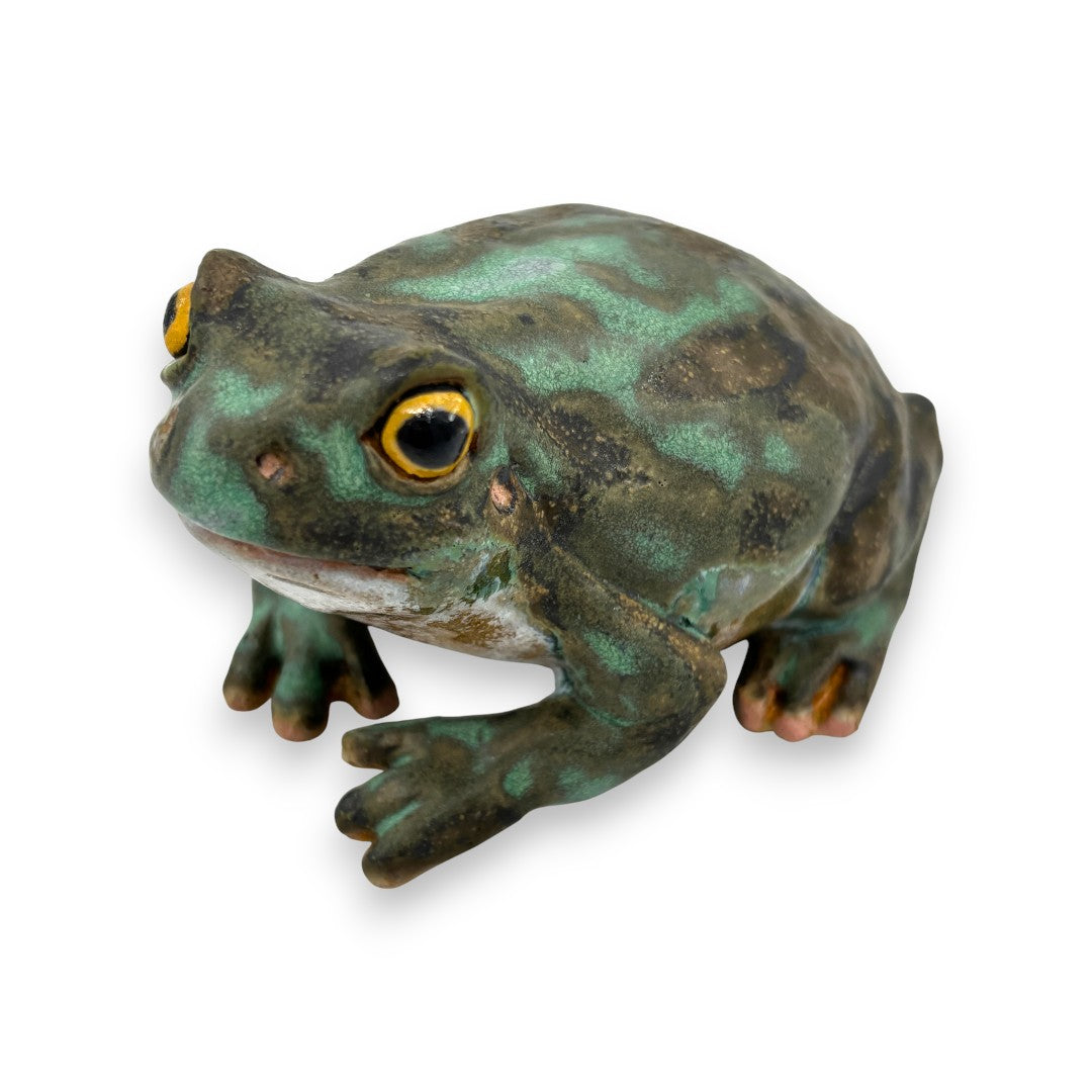Frog - Ceramics