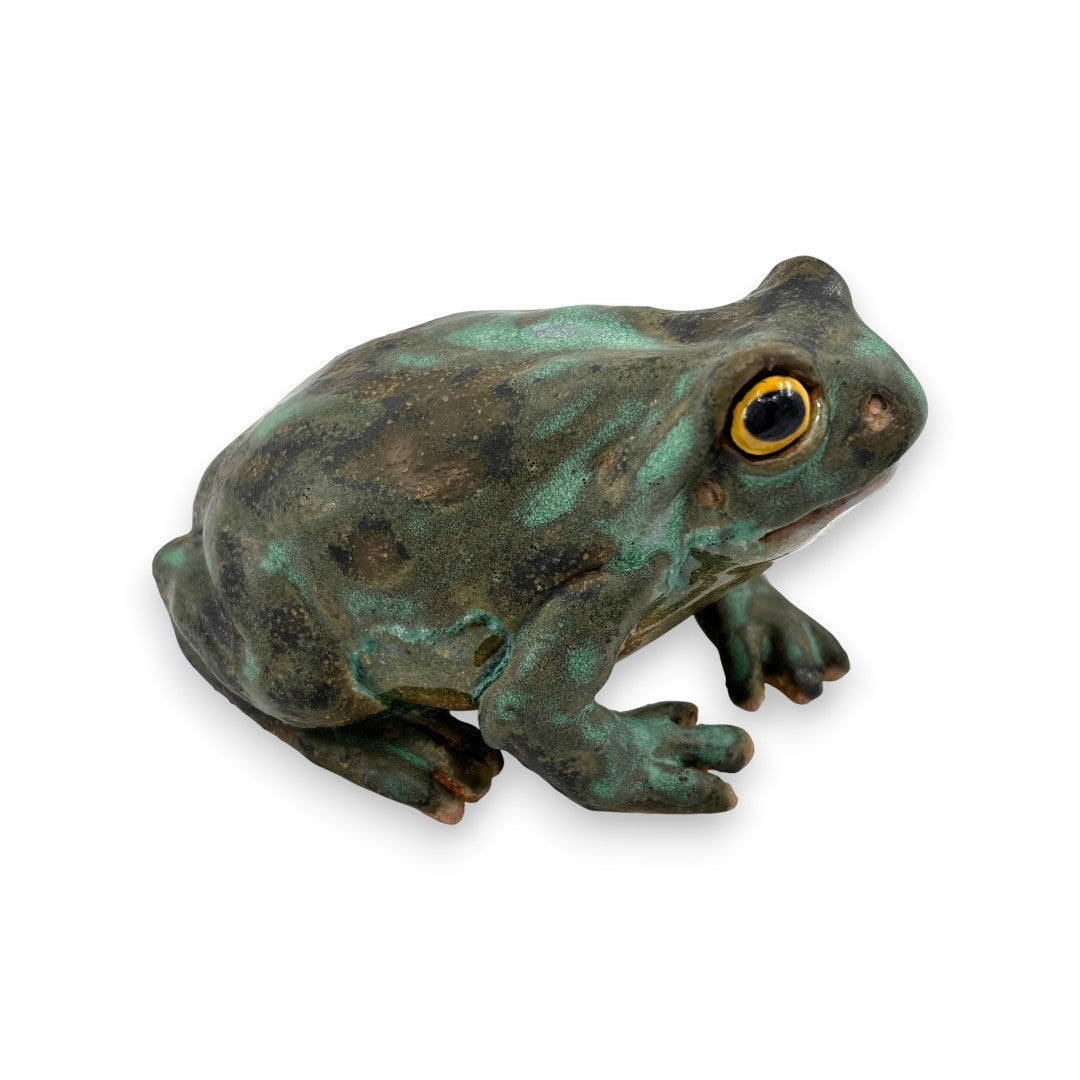 Frog - Ceramics