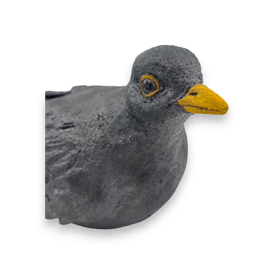 Blackbird (3) - Ceramics