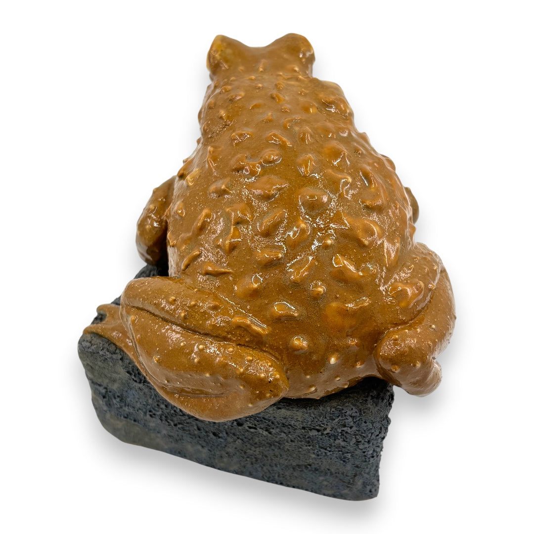 Toad - Ceramics