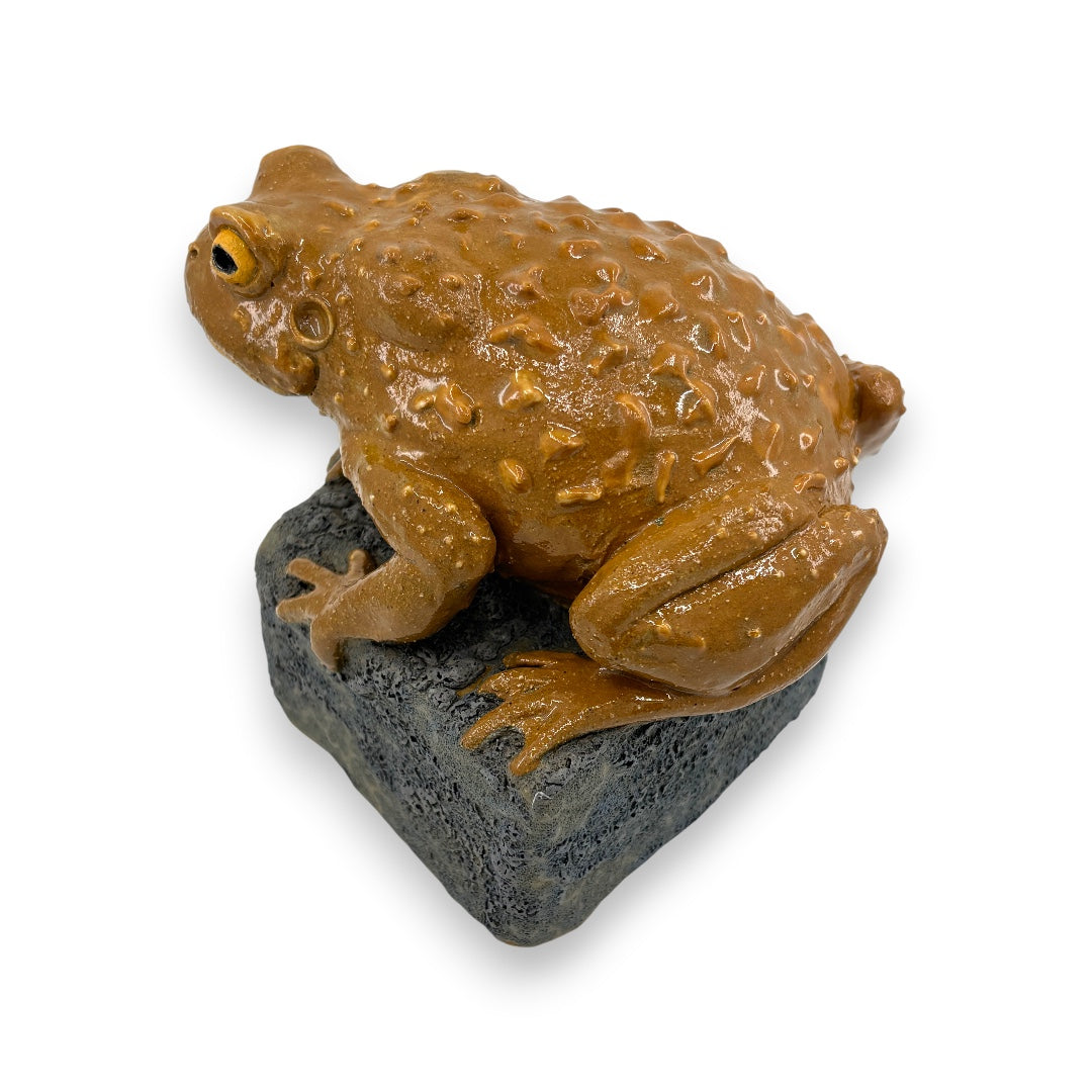 Toad - Ceramics