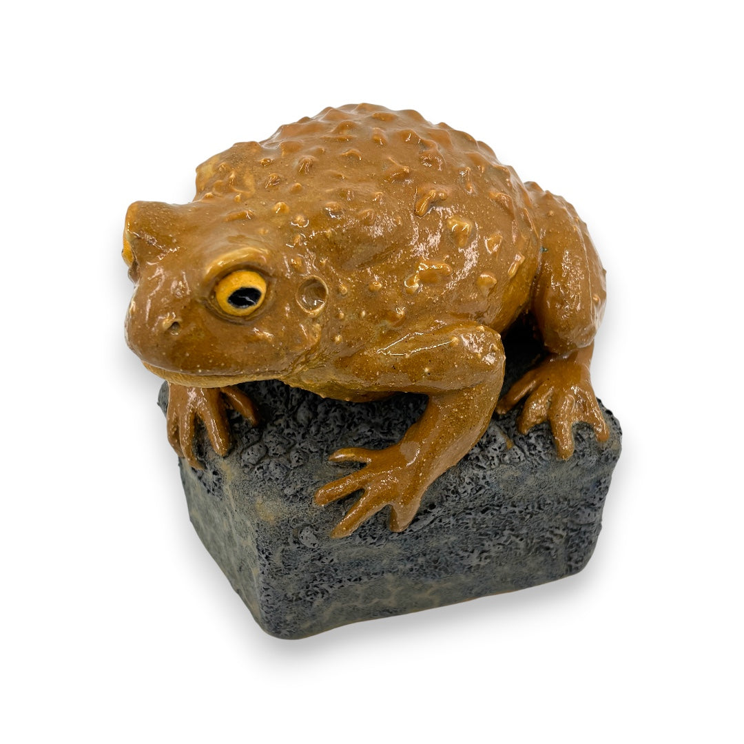 Toad - Ceramics