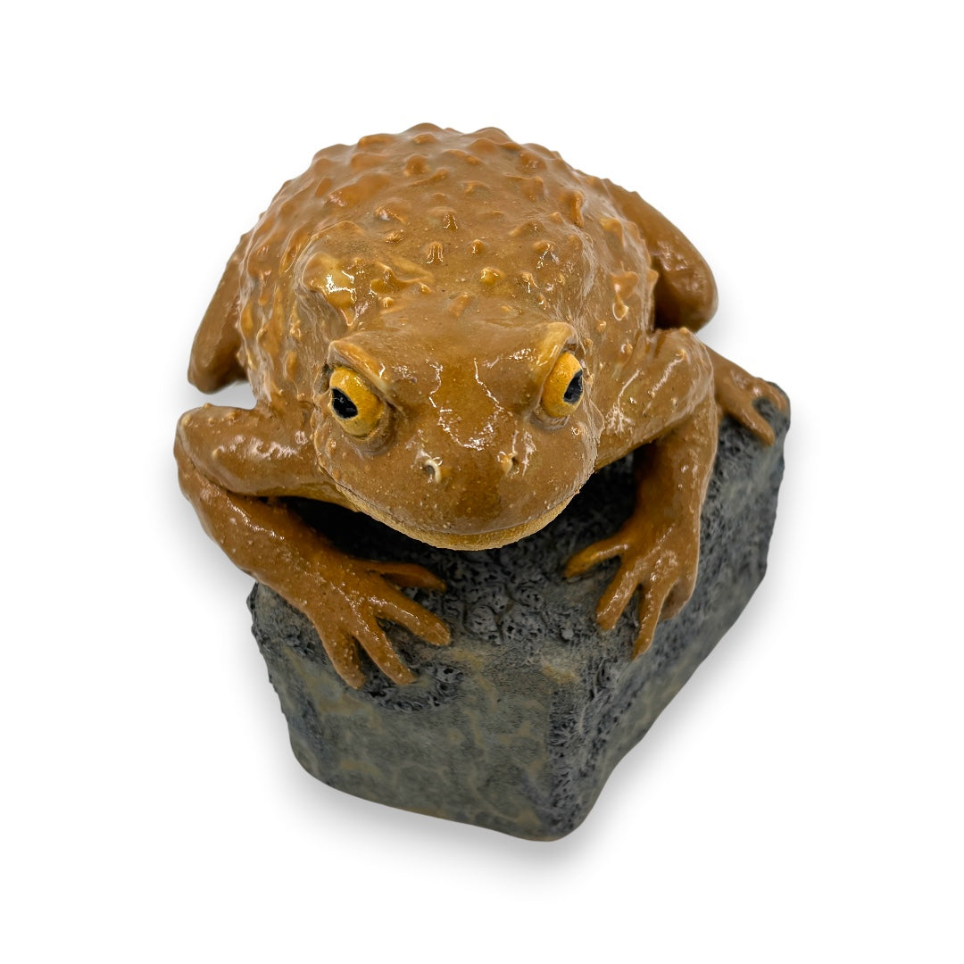 Toad - Ceramics