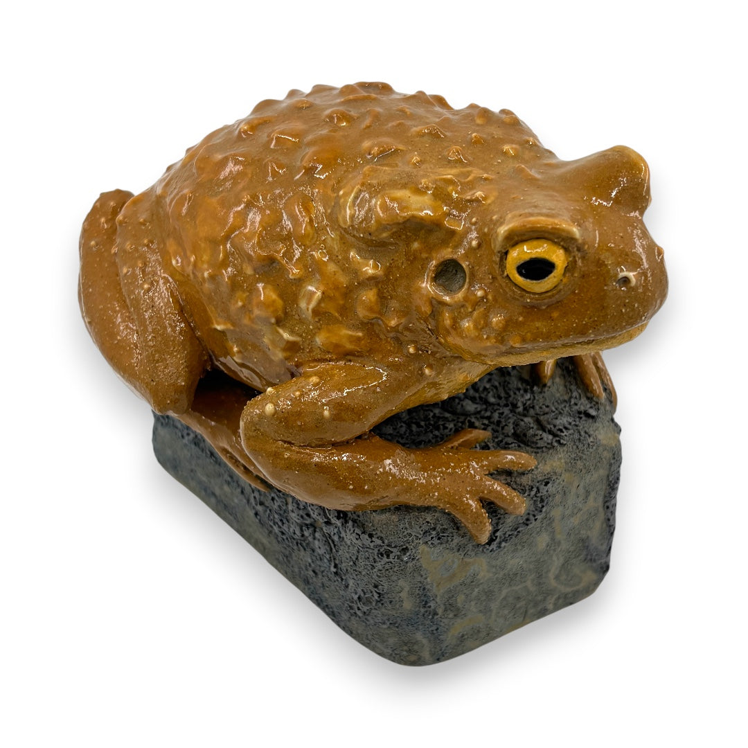 Toad - Ceramics