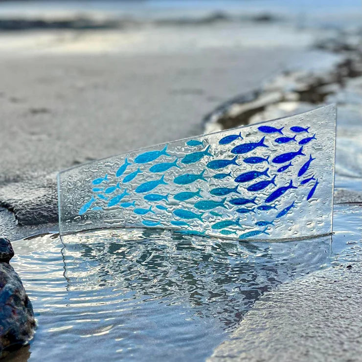 Wave Curve - Plenty Of Fish Shoaling