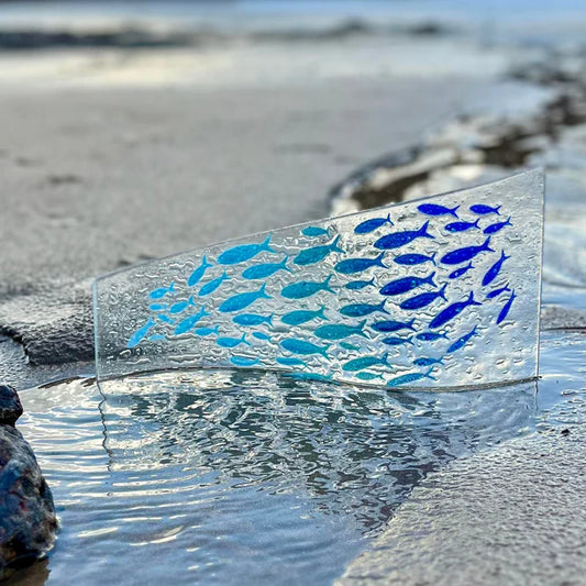 Wave Curve - Plenty Of Fish Shoaling