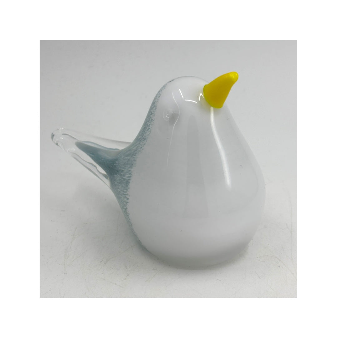 Seagull