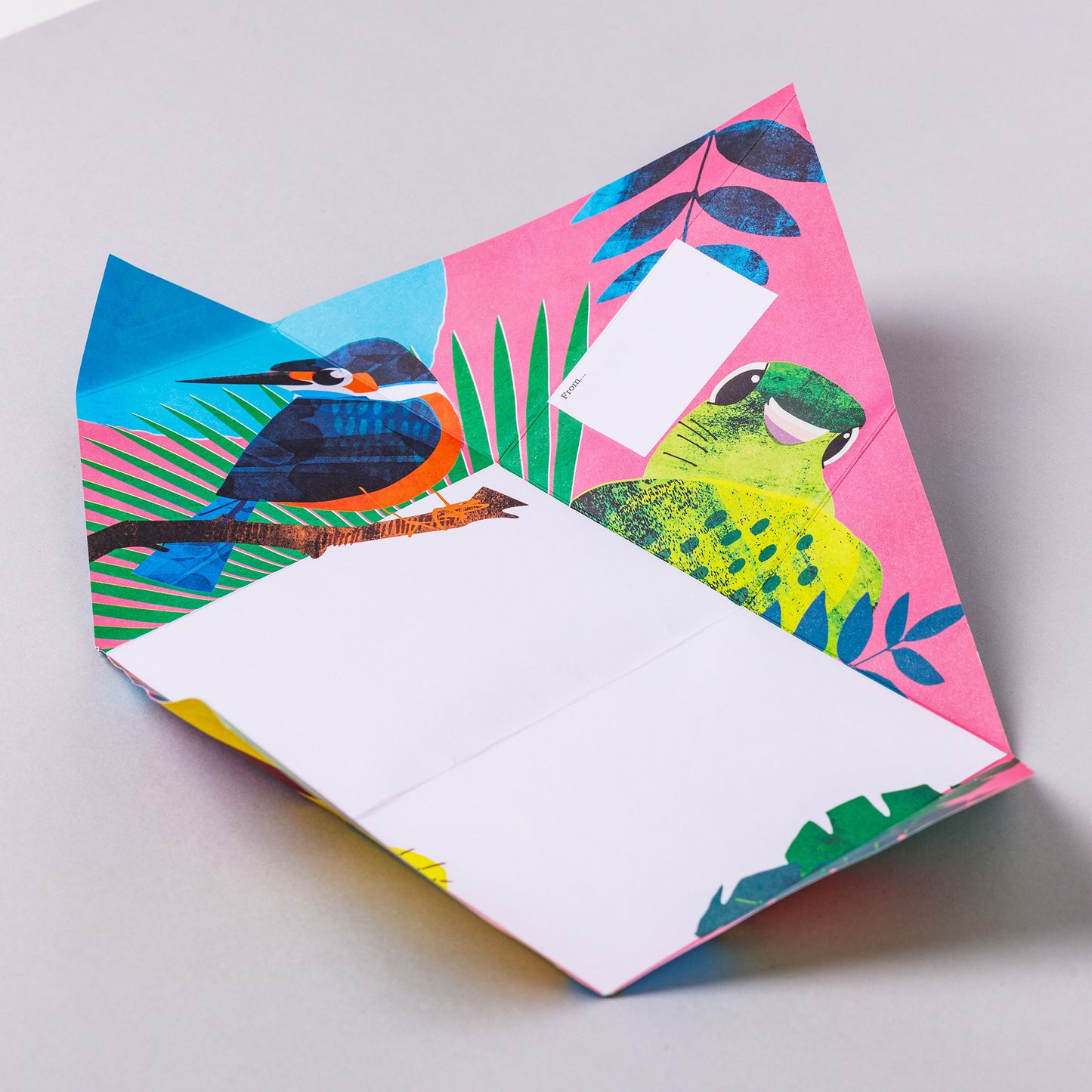 Pigeon Post - Wild Lives